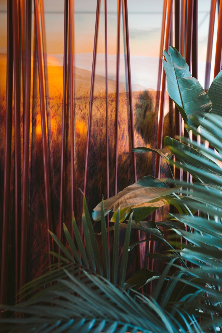 CORTEN STEEL WALLS